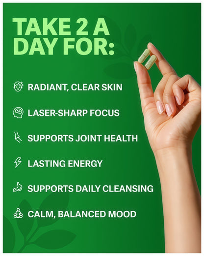 Rosabella Moringa Capsules -Pure MoringaPowder, Energy, Skin, lmmune & Gut HealthSuperfood, Rich in Antioxidants, EssentialVitamins & Amino Acids, Natural GreenSuperfood Supplement- 60 Count